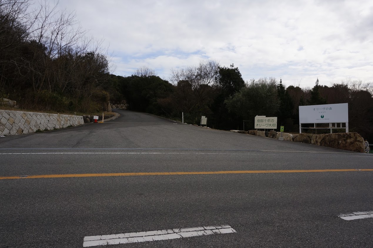 小豆島　香川県道254号線沿いオリーブの森入口