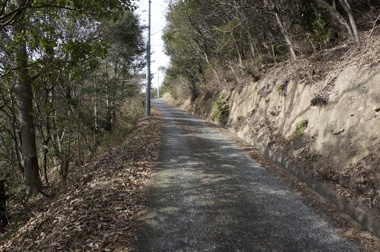 小豆島小瀬地区重岩へ続く山道