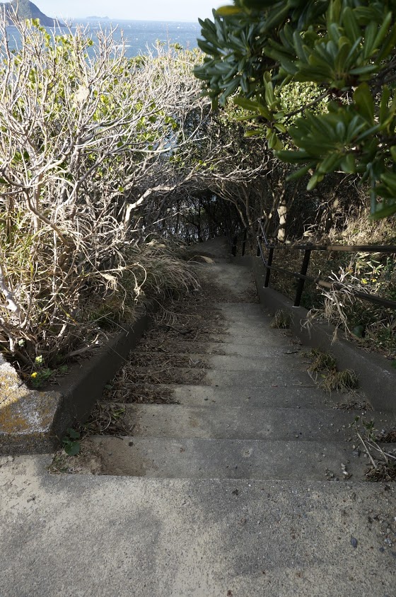 蒲生田岬灯台遊歩道の階段