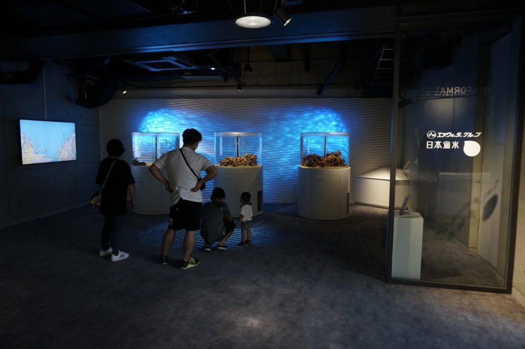 四国水族館　海豚ホール