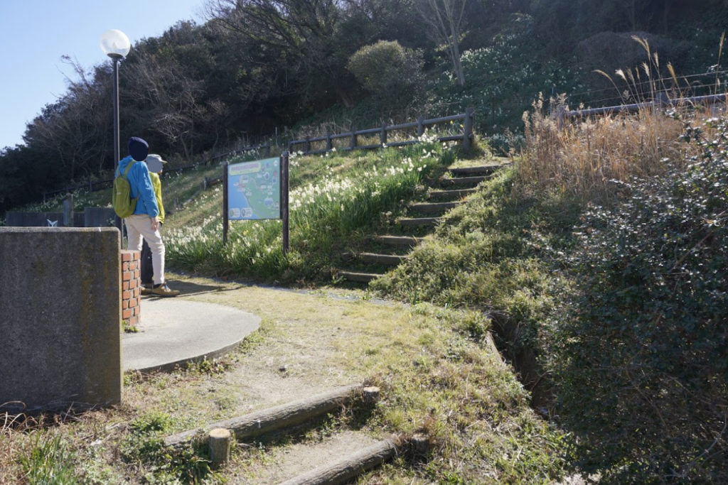 男木島水仙郷への階段