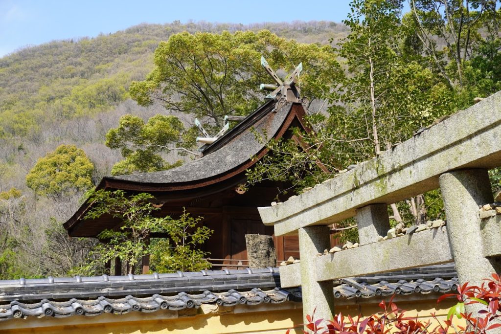 国宝神谷神社本殿の屋根