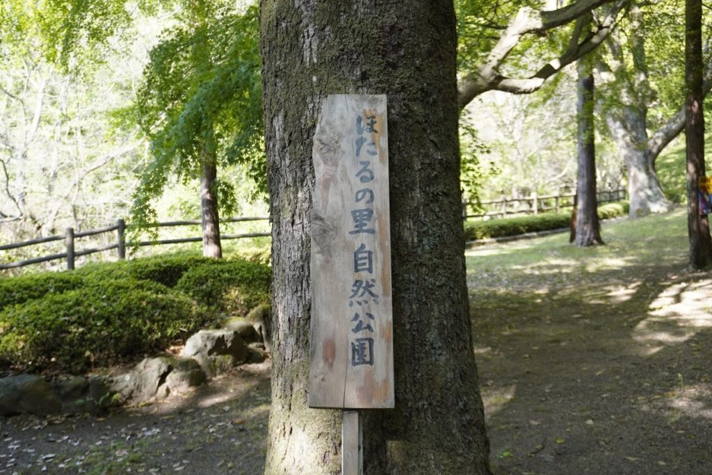神谷神社の奥のほたるの里自然公園