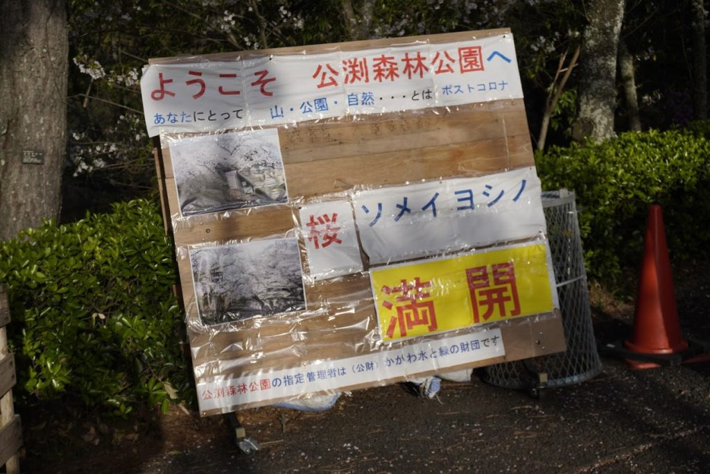 ようこそ公渕森林公園ソメイヨシノ満開の看板
