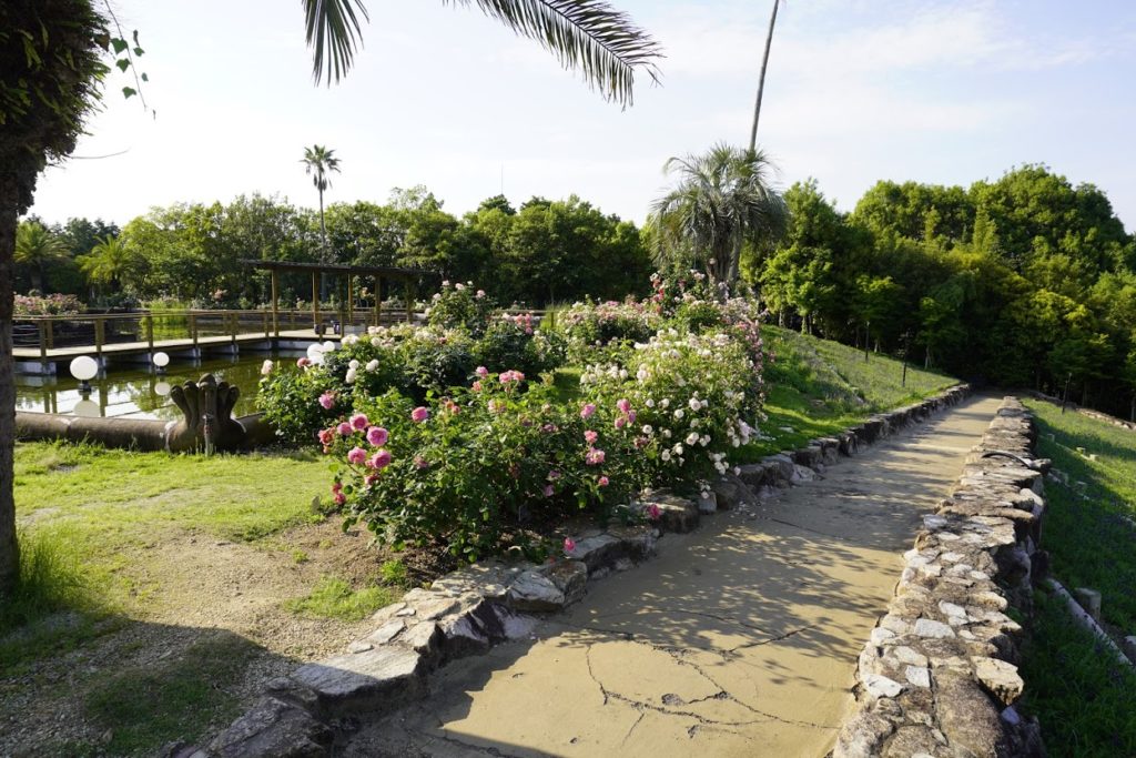 レオマ オリエンタルトリップの大バラ庭園