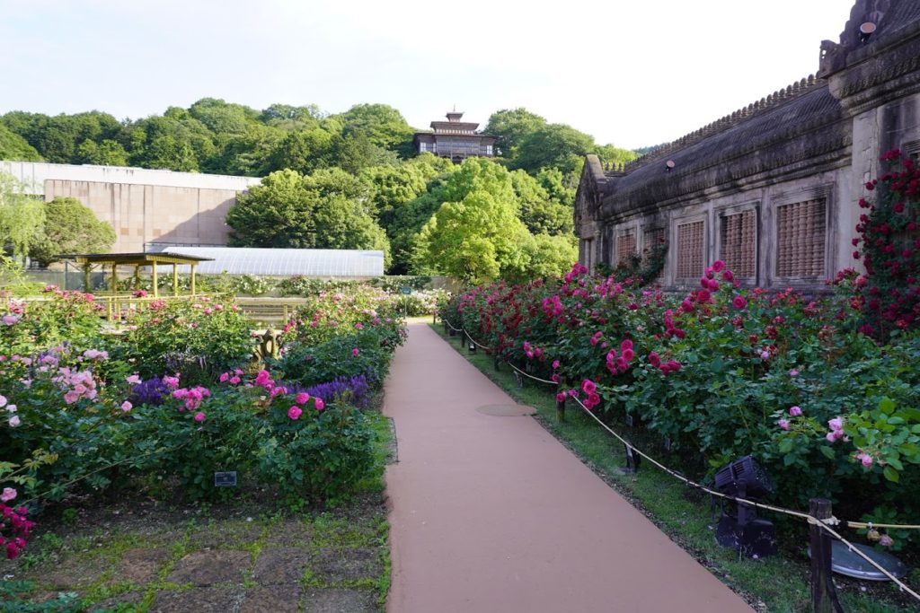 レオマ オリエンタルトリップの大バラ庭園