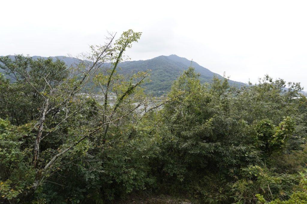 五郷山公園展望所から見る井関池