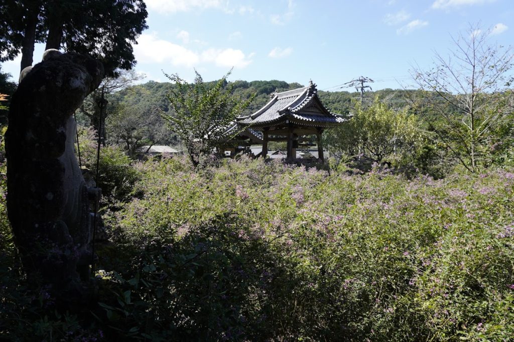 塩江最明寺境内の萩