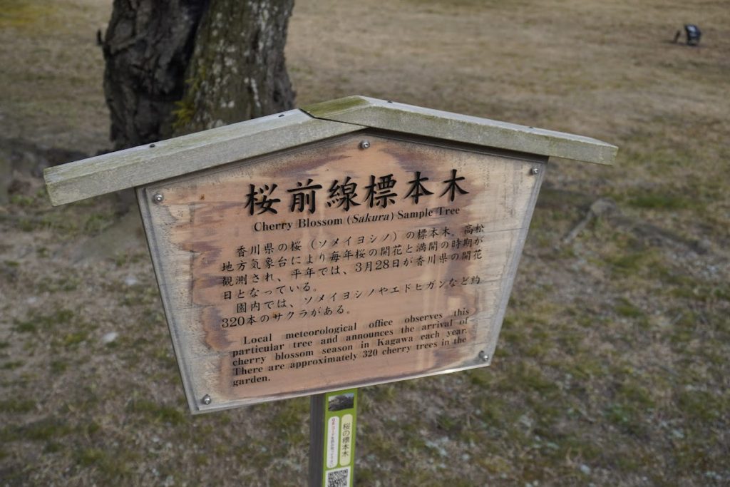 栗林公園　桜前線標本木の立て札