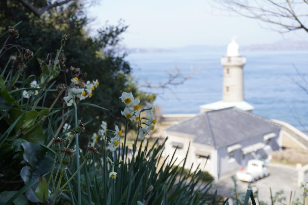 水仙と男木島灯台