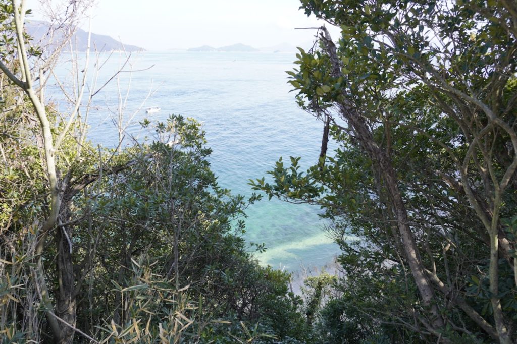 男木島第二水仙郷への道沿いから海岸が見える