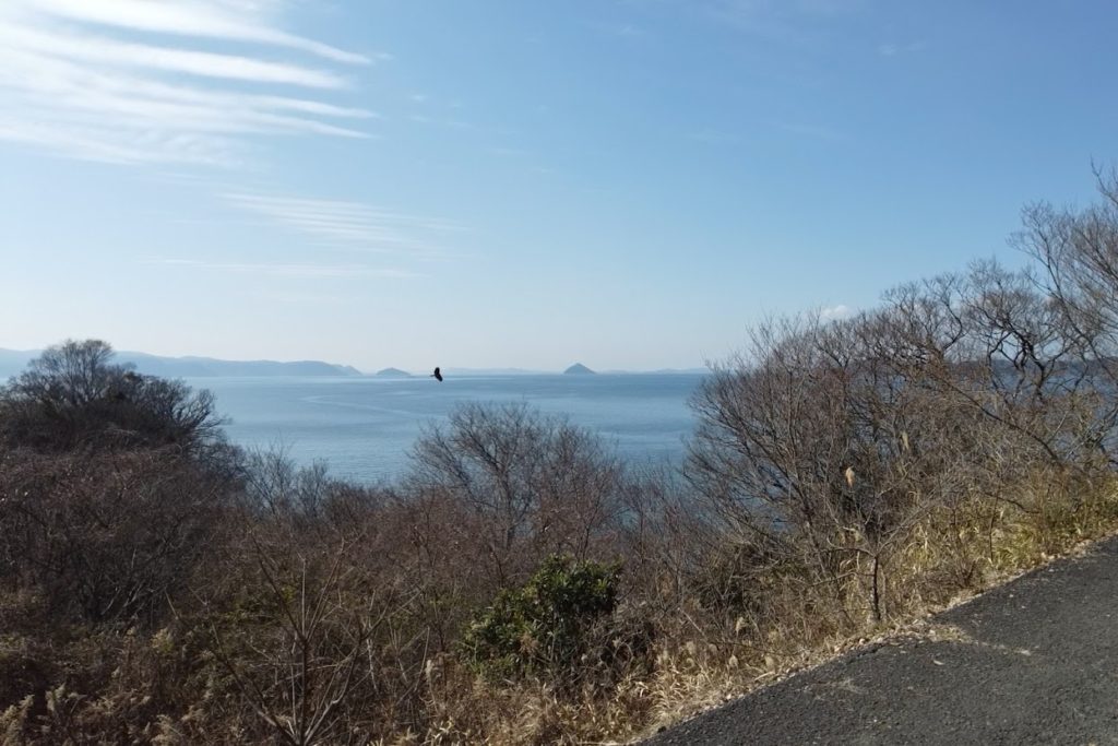 男木島灯台に続く道