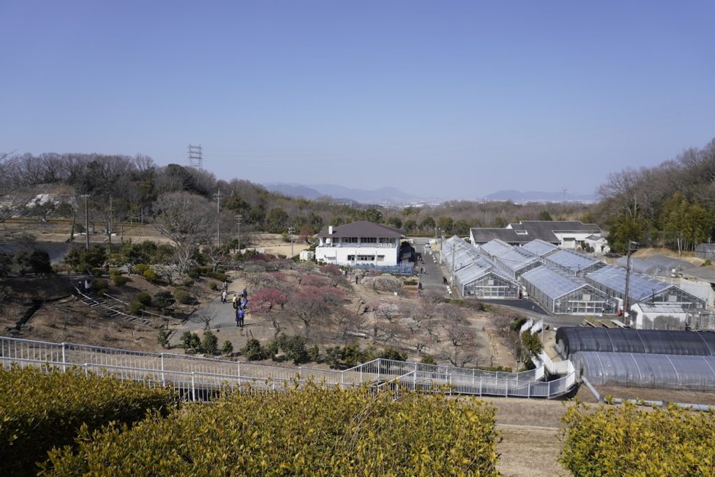 香川県園芸総合センター（2022年2月下旬）