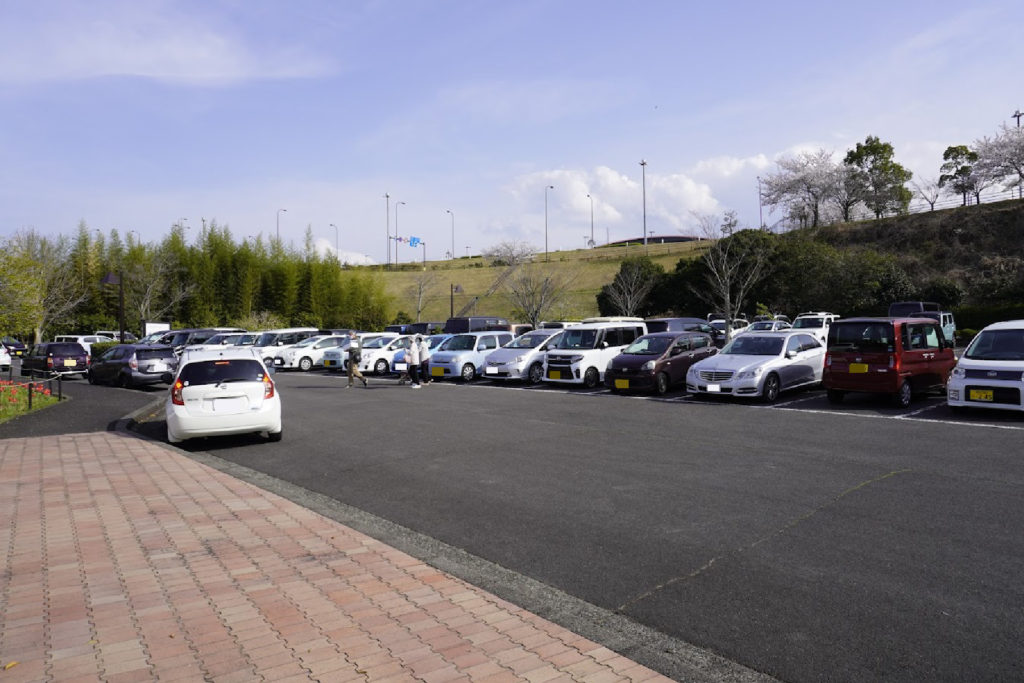 さぬき空港公園 桜の時期の第1駐車場