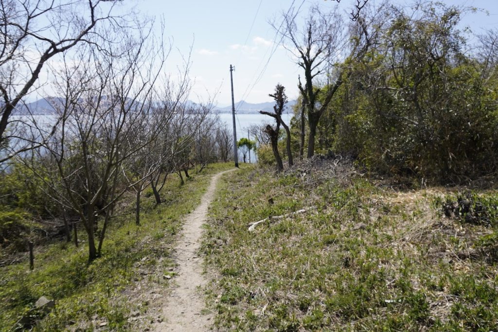 女木島「岬の白灯台」へ降りる道