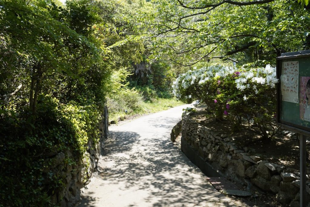 犬島暮らしの植物園へ続く道