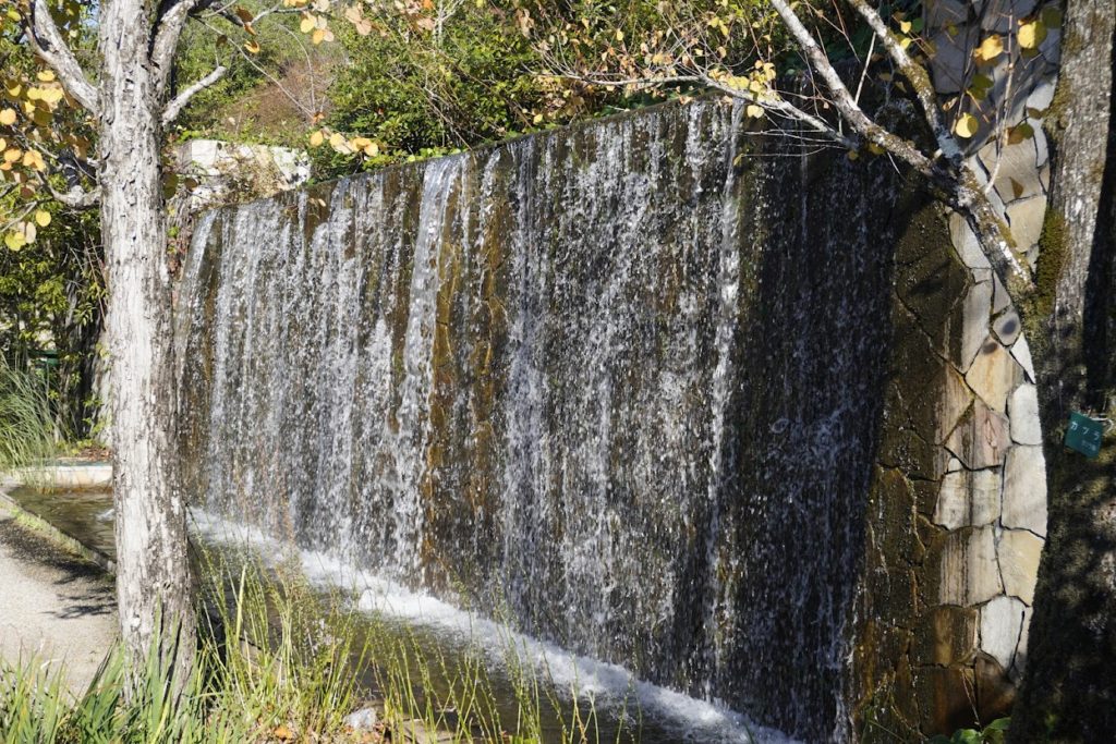 モネの庭水の庭の滝