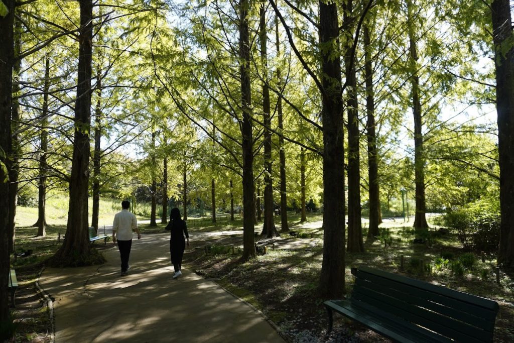モネの庭自然の森遊歩道