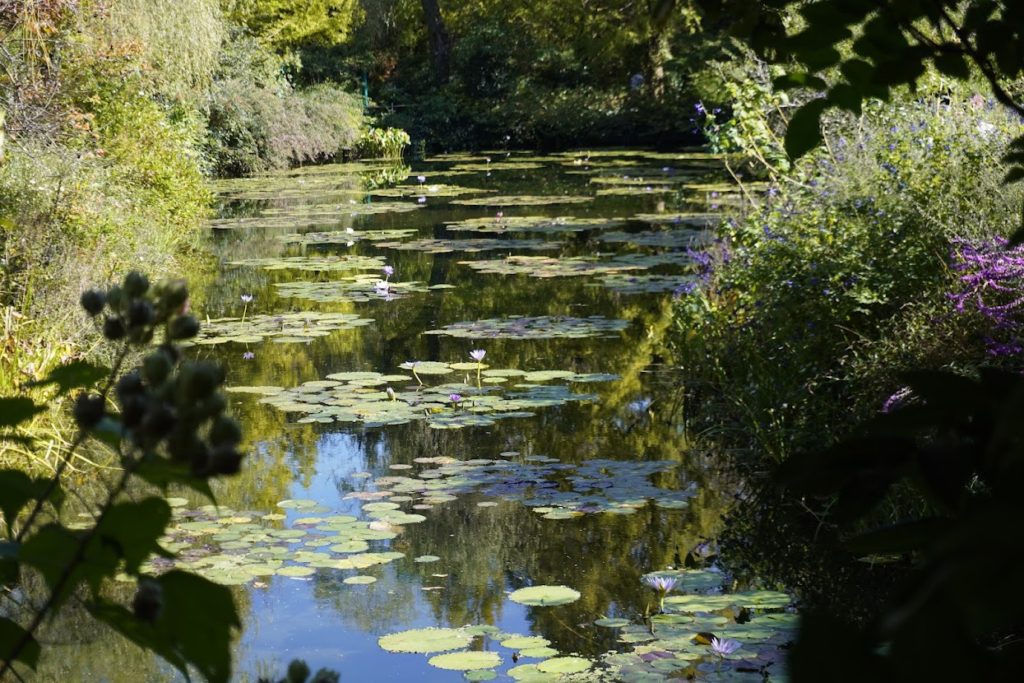 モネの庭水の庭