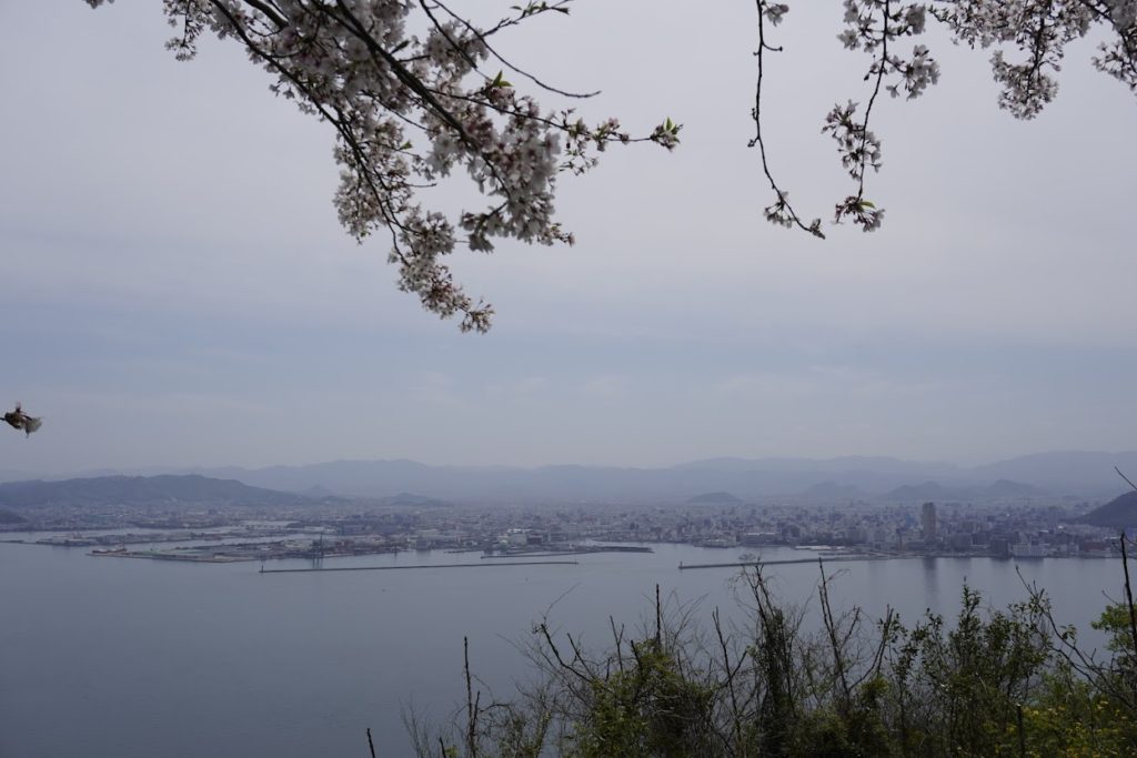 女木島スカイラインハイキングコース　タカト山の桜