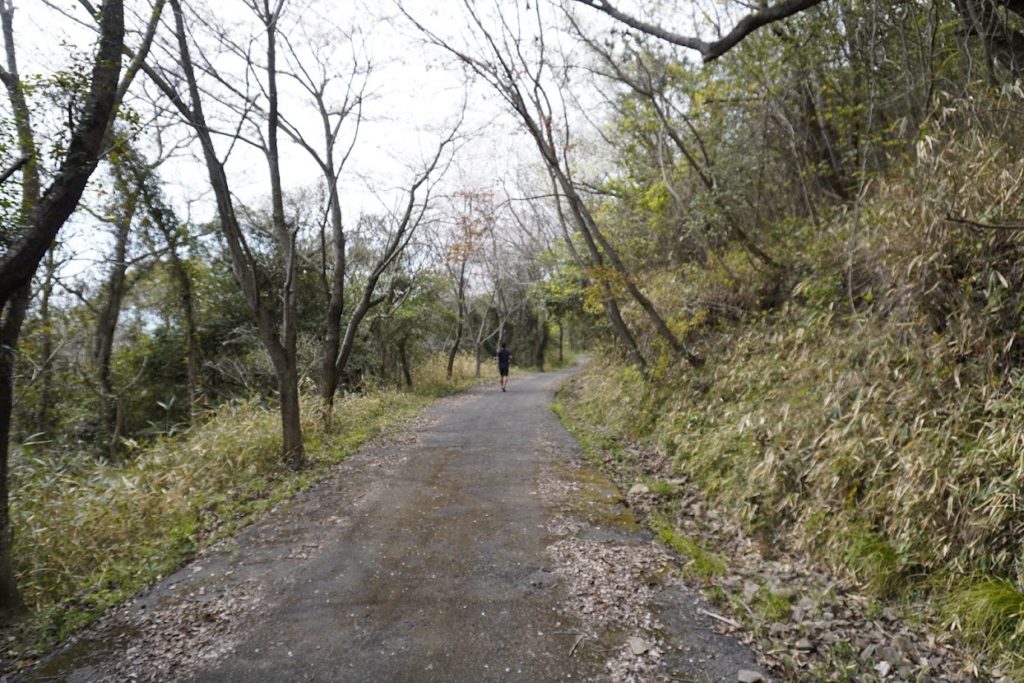女木島灯台から日蓮山への道