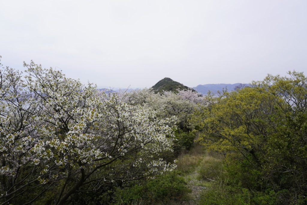 女木島タカト山