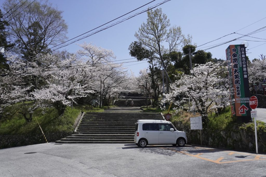 琴平町公会堂の桜