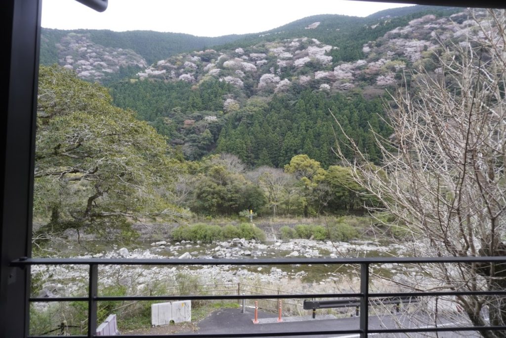 北川村温泉ゆずの宿 部屋からの眺望