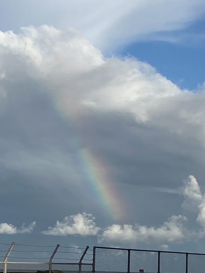 高知桂浜の虹